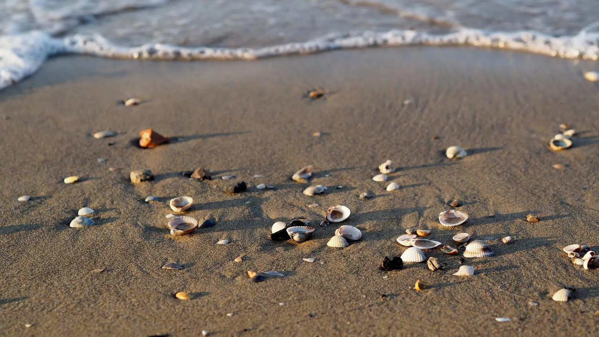 Enjoy Your Stay In A Quiet Location Bibione 0*,  Italia